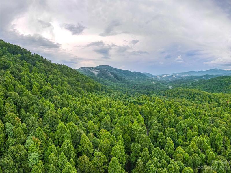 99999 Old Fort Road, Old Fort, NC 28762 for Sale
