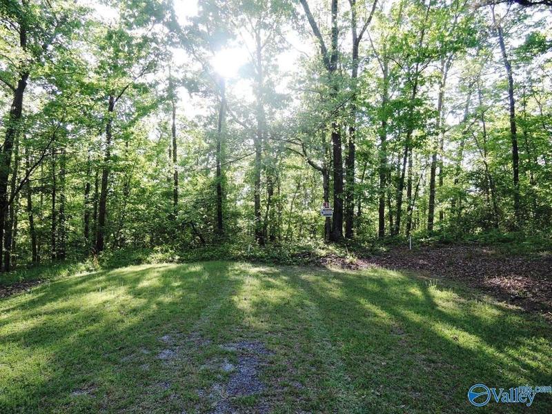 81 Pinewood Point, Jasper, AL 35504  623898120 for Sale