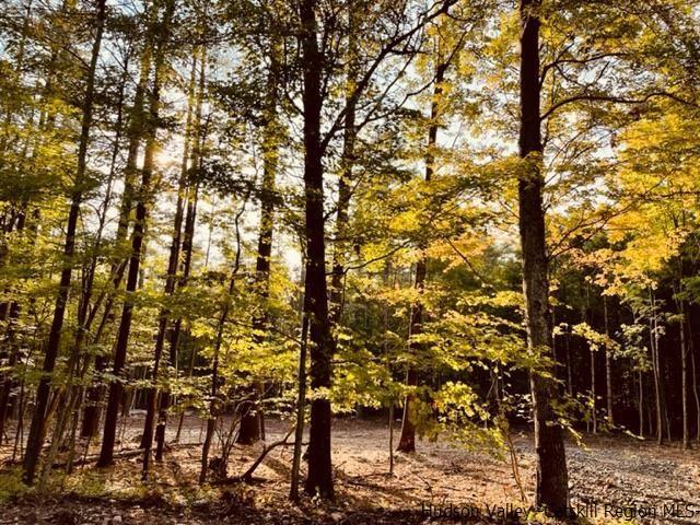 7 Blackhead Mount Road, Round Top, NY 12473 for Sale