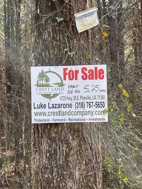 Center Point, Avoyelles Parish, LA Undeveloped Land for sale Property ID: 418708122