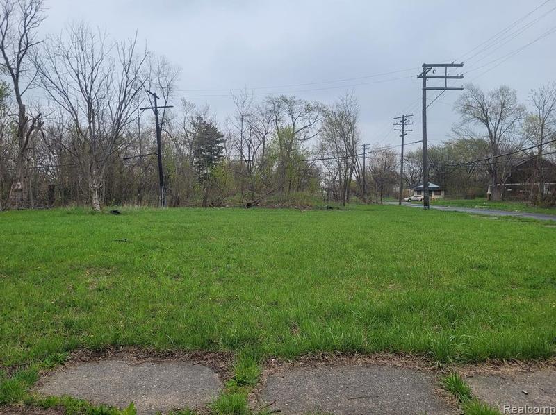 9116 May St, Detroit, MI 48213 - MLS 20230030881 for Sale