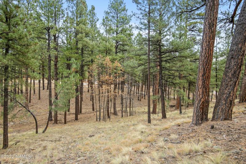 4631 N CREEKSIDE LN # 1, Flagstaff, AZ 86001 Land For Sale  MLS# 194405