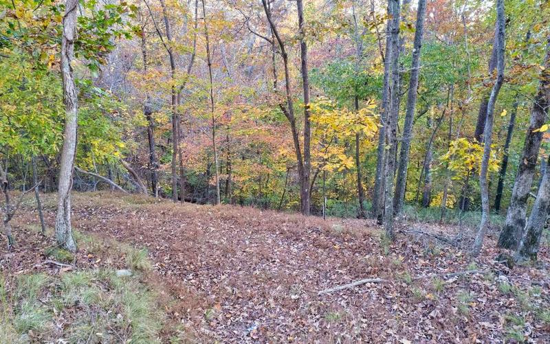 Lot 422 Zeblin Road, Ellijay, GA 30540  608915486 for Sale