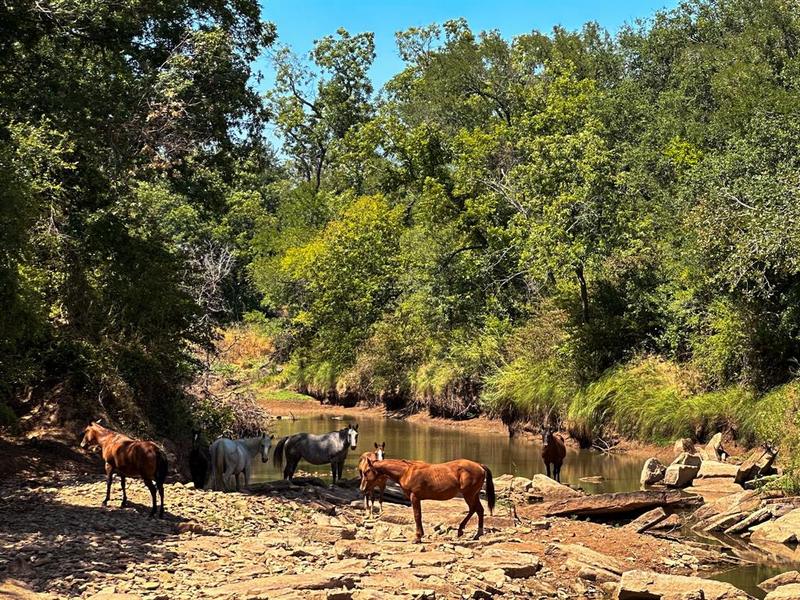 2829 County Road 411, brownwood, TX 76801 for Sale