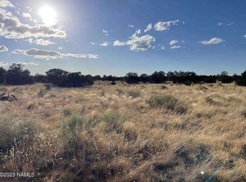882 S Gln Spg Ln, Williams, AZ 86046 - MLS 195103 for Sale