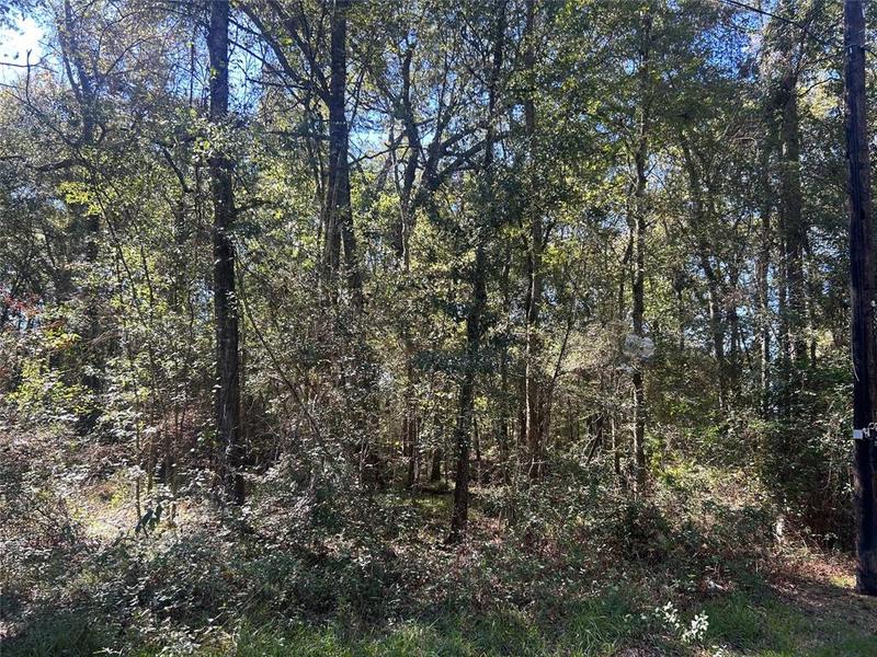 30 Meyer Rd, Huffman, TX 77336 for Sale