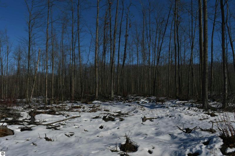 PARCEL J ROAD TBD, Mikado, MI 48738 Land For Sale  MLS# 1914892