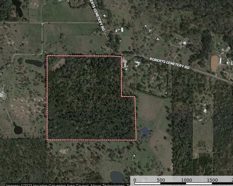 22425 Roberts Cemetery Rd, Hockley, TX 77447 - MLS 77134658 for Sale