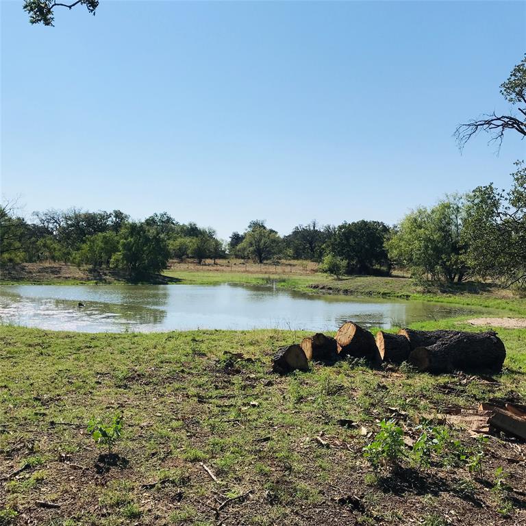 15169 County Road 129, brownwood, TX 76801 for Sale