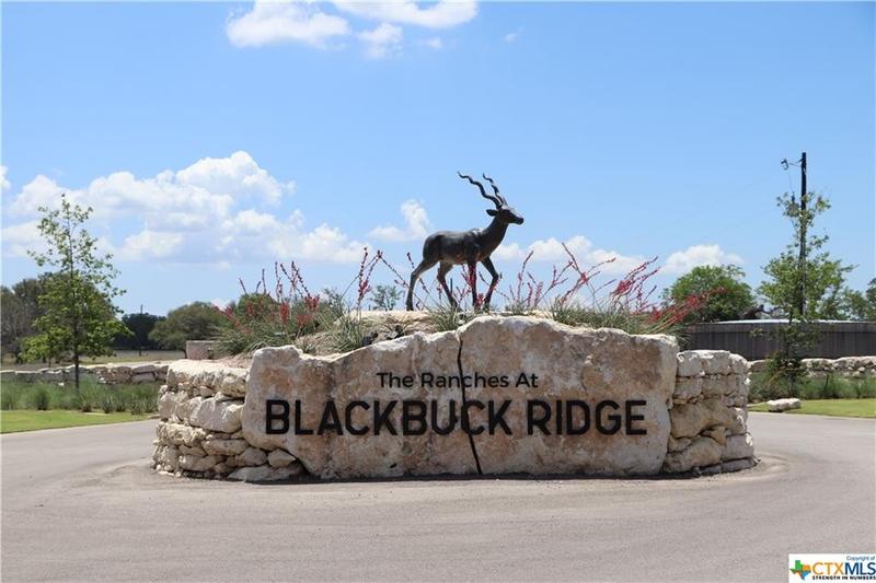 003 Sable Pass, Lampasas, TX 76550 for Sale
