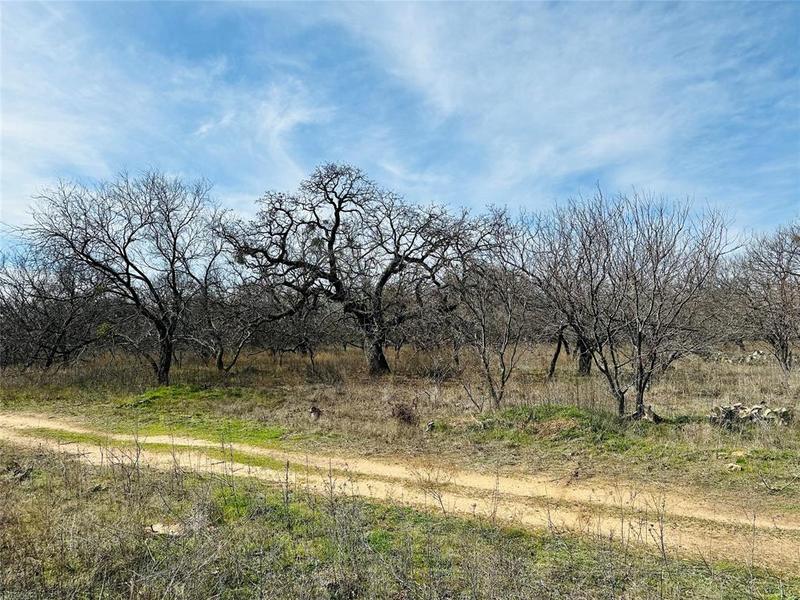 9769 Fm 2287, Cross Plains, TX 76443 for Sale