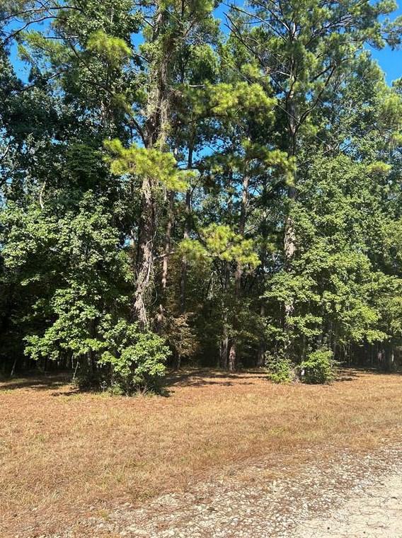 575859 Grand Pine Circle, Livingston, TX 77351 - MLS 18402339 for Sale