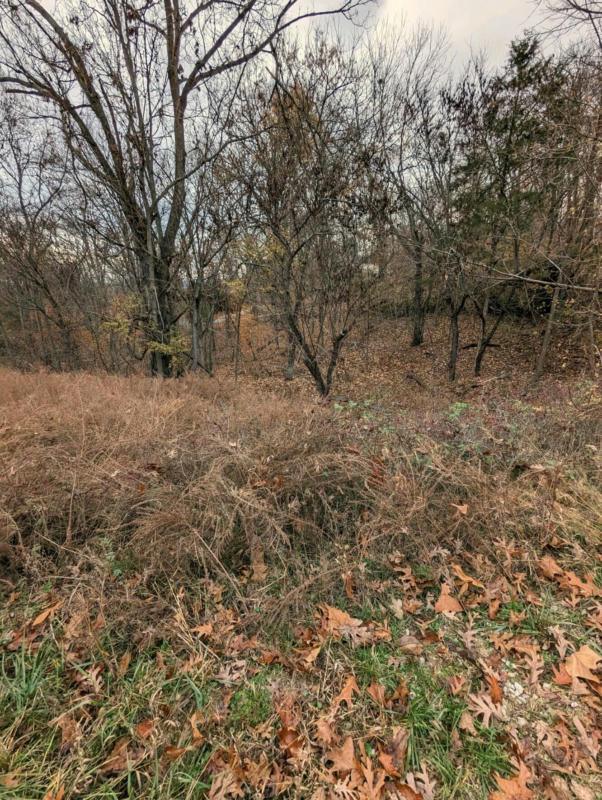 L1 JUDY LANE, Galena, MO 65656 Land For Sale  MLS# 60253107