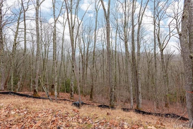 Glenville, Jackson County, NC Undeveloped Land, Homesites for sale Property ID: 415735444