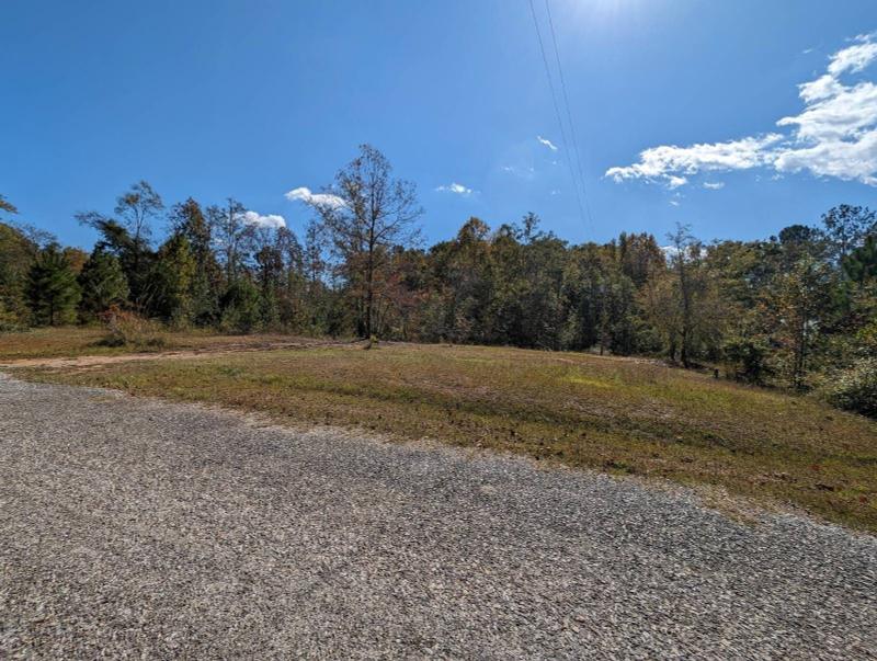 Wedowee, Randolph County, AL Undeveloped Land, Homesites for sale Property ID: 418325152