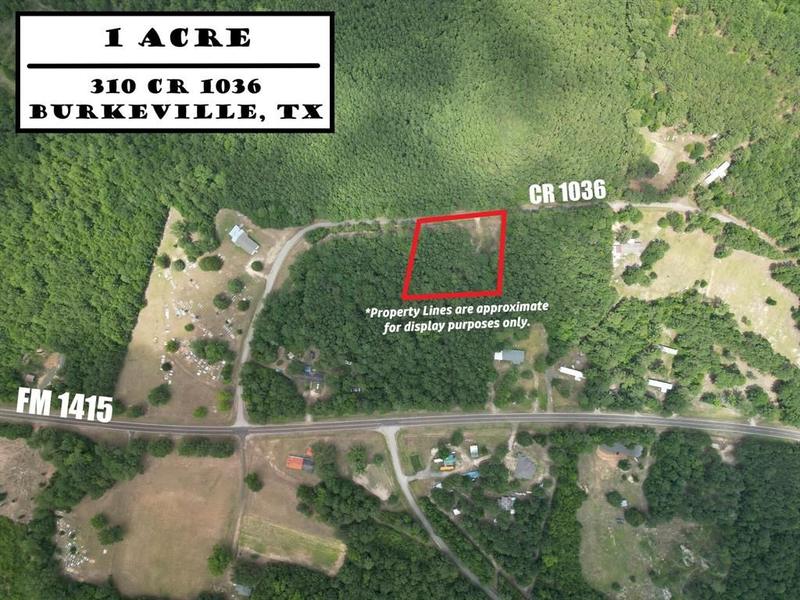 Burkeville, Newton County, TX Undeveloped Land, Homesites for sale Property ID: 417933259