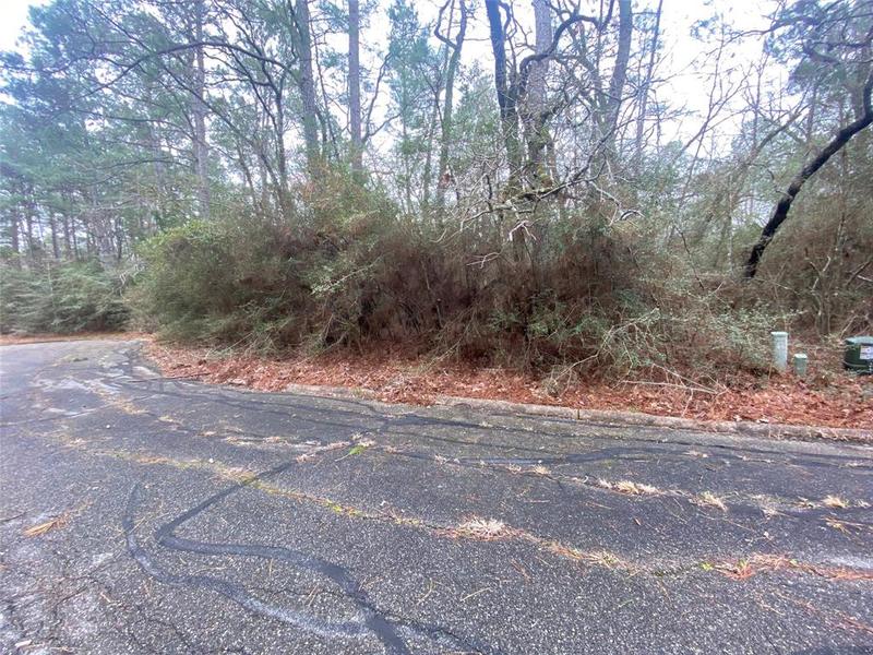 28605 Beechnut Ct, Huntsville, TX 77320 for Sale