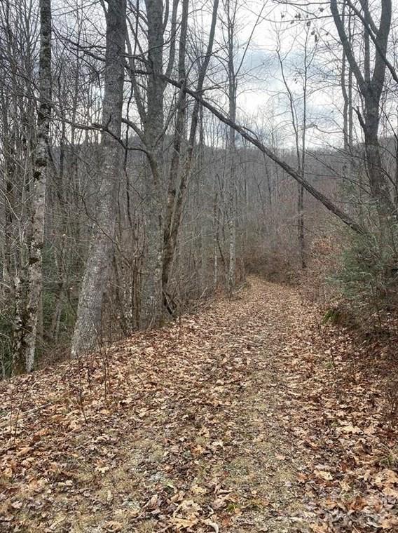 0 White Rock Rd, Cullowhee, NC 28723 - MLS 3937314 for Sale