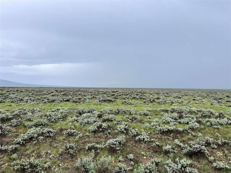 Tract 30 Steel Creek Road, Wisdom, MT 59761  617240252 for Sale