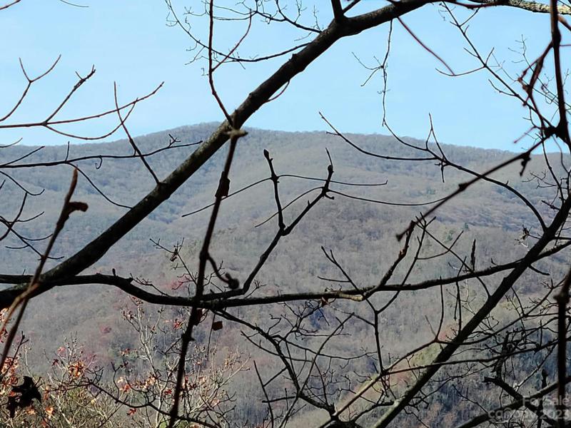 0000 BLUE VISTA ROAD, Canton, NC 28716 Land For Sale  MLS# 4086869