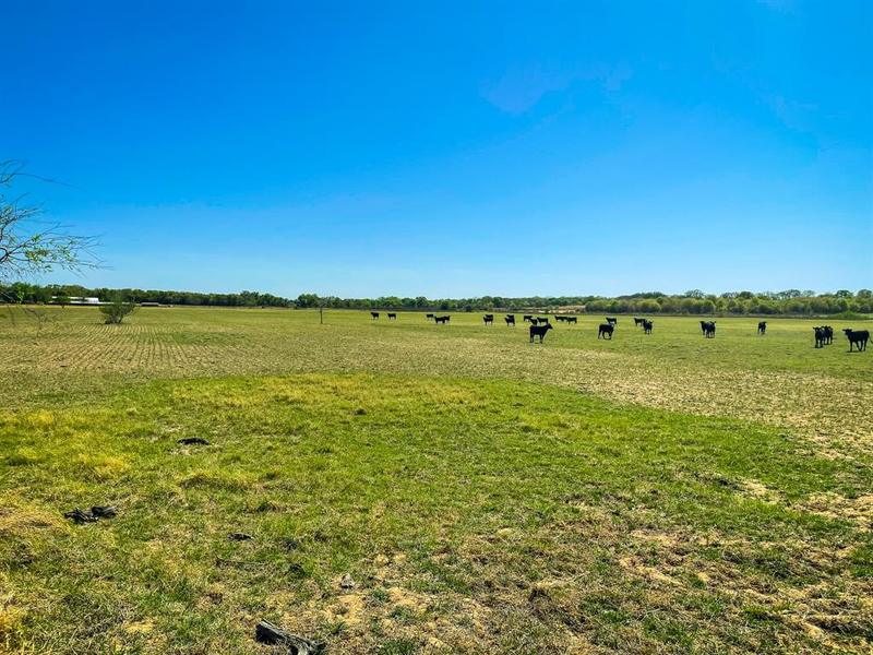TBD CR 254, Cisco, TX 76437 for Sale