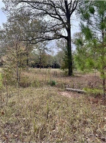Deville, Rapides Parish, LA Undeveloped Land, Homesites for sale Property ID: 418323398