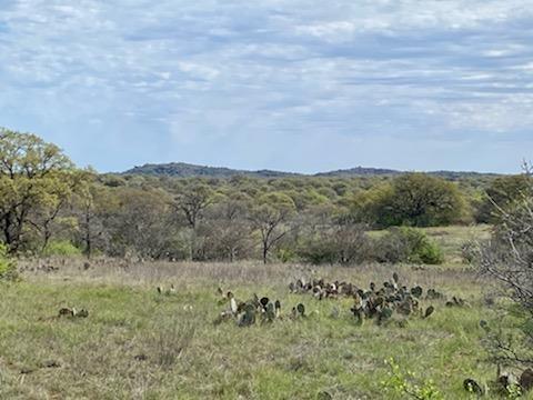 2801 County Rd 402, Llano, TX 78643 for Sale
