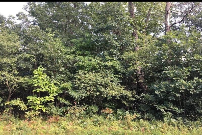 Wheatfield, Jasper County, IN Undeveloped Land, Homesites for sale Property ID: 336712574