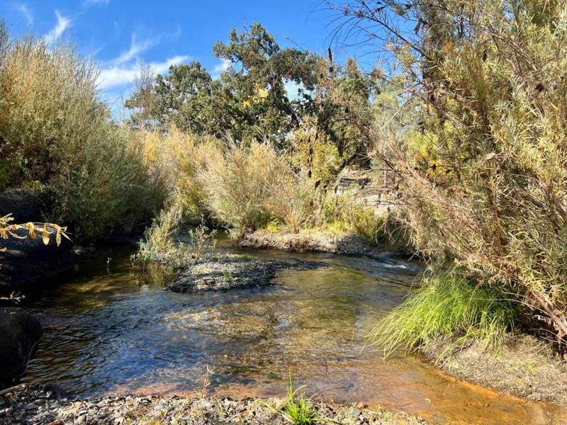 31638 ROAD 400, Coarsegold, CA 93614 Single Family Residence For Sale  MLS# 606858 for Rent