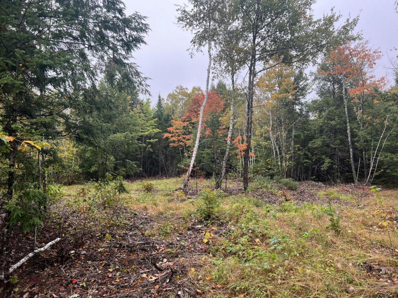 LOT 113 BASS OVERLOOK ROAD, Waltham, ME 04605 Land For Sale  MLS# 1579739