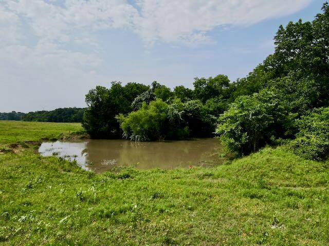 TBD 1 SW County Road 4030, Dawson, TX 76639 for Sale
