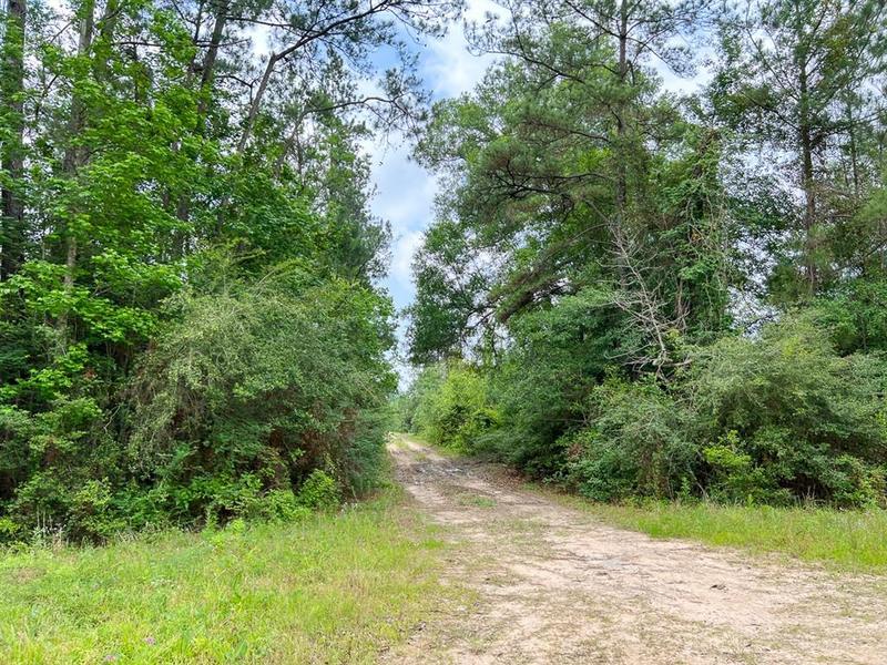 06 FM 2937/Old Arco Rd, Silsbee, TX 77656 for Sale