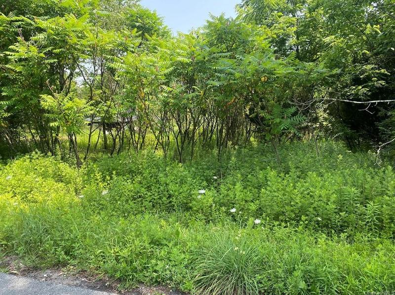 Pleasure Dr, Harris, NY 12742 - MLS H6266580 for Sale