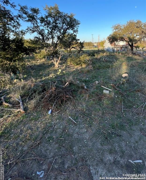 119 Friendlywood Dr, Canyon Lake, TX 78133 for Sale