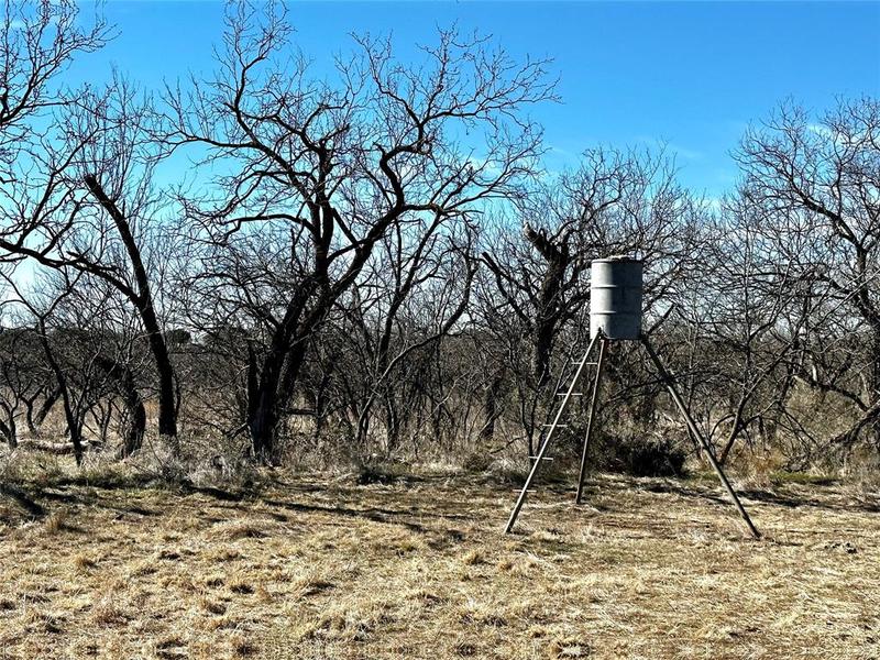 TBD Highway 279, Cross Plains, TX 76443 for Sale