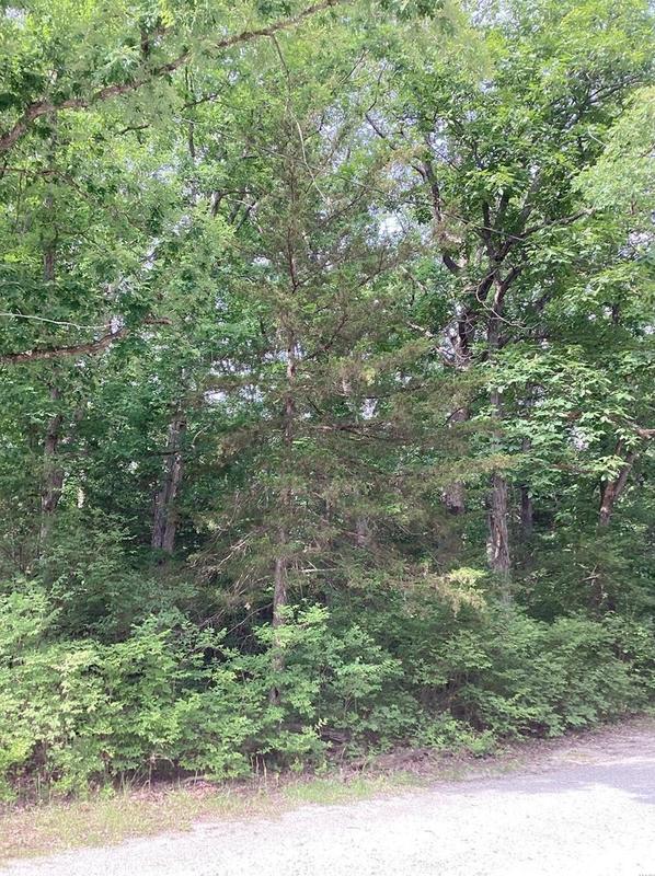 1543 Bell Rd, Wright City, MO 63390 - MLS 23028875 for Sale