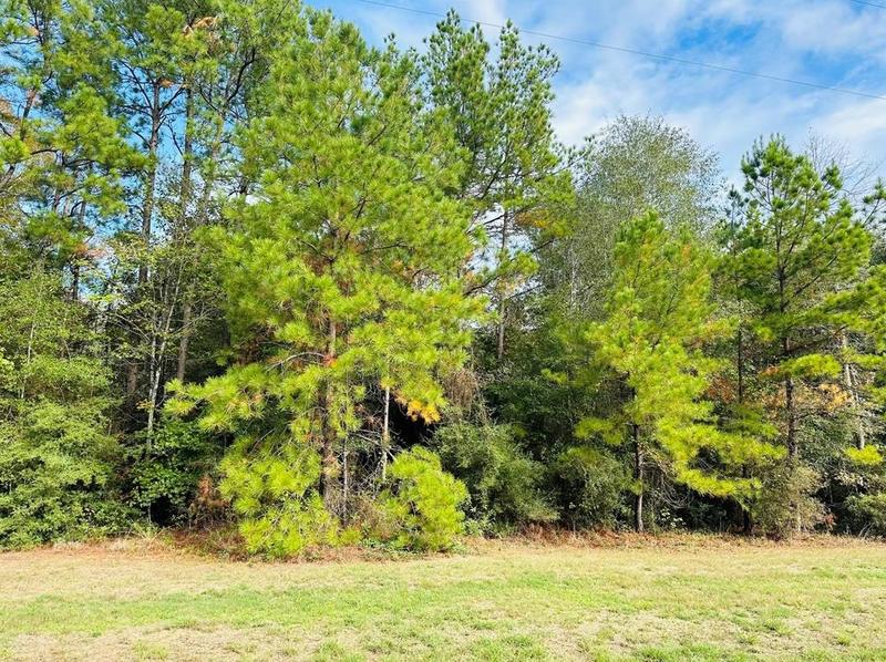 21299 Doru Dr, Cleveland, TX 77328 - MLS 44317920 for Sale