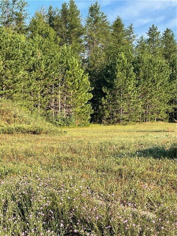 Spooner, Washburn County, WI Undeveloped Land, Homesites for sale Property ID: 417335720
