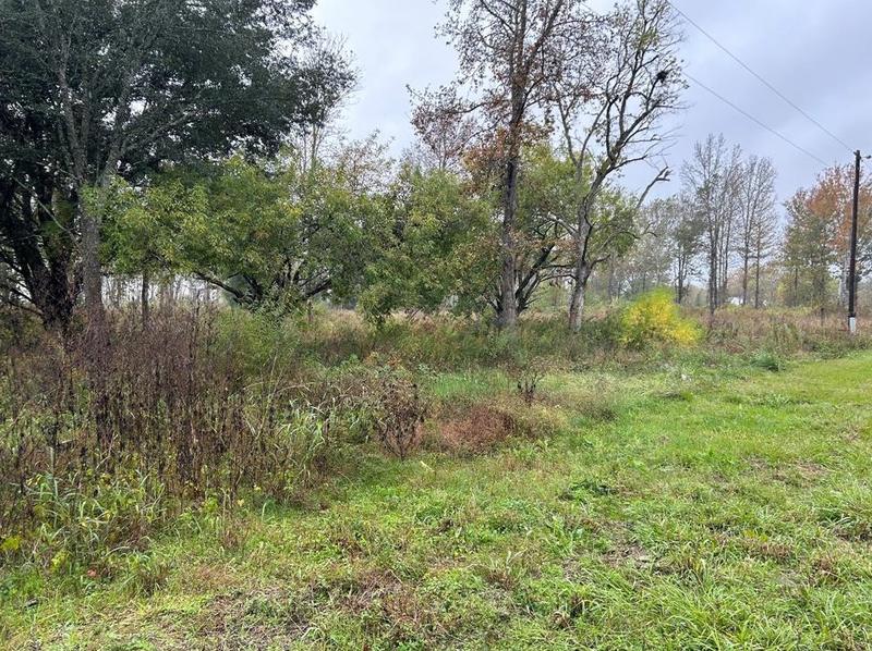2470 Sh 105 E, Liberty, TX 77575 - MLS 95334683 for Sale