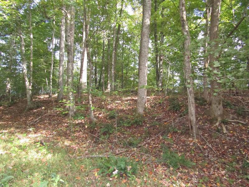 10AC OLD ANTIOCH RD, GAINESBORO, TN 38562 Land For Sale  MLS# 223571