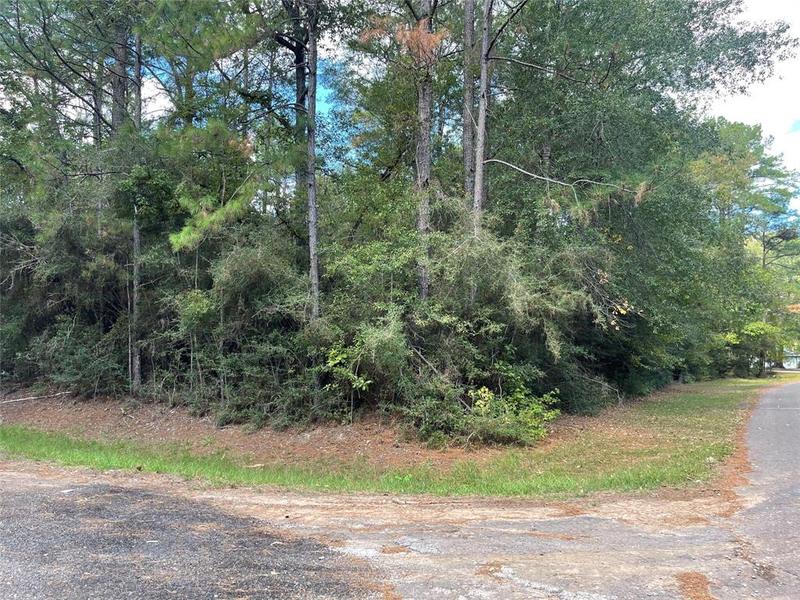 TBD White Poplar, Village Mills, TX 77663 for Sale
