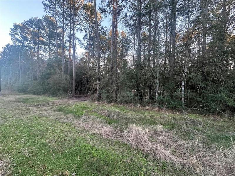 0 PECAN ROAD, Plantersville, TX 77363 Land For Sale  MLS# 97112774