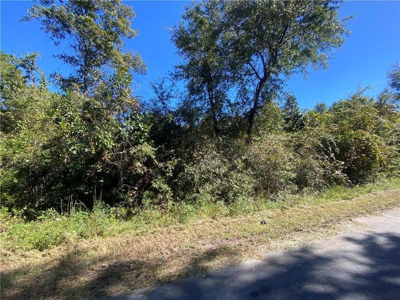 Jesup, Wayne County, GA Undeveloped Land, Homesites for sale Property ID: 418055900