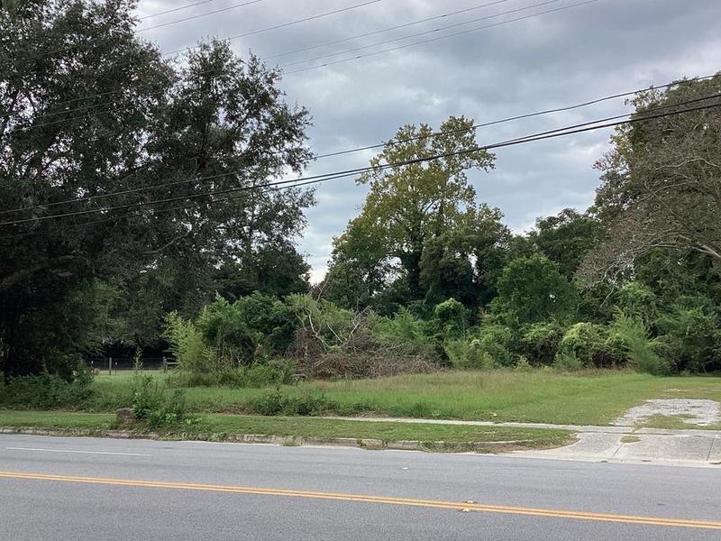 Manning, Clarendon County, SC Undeveloped Land, Homesites for sale Property ID: 417786573