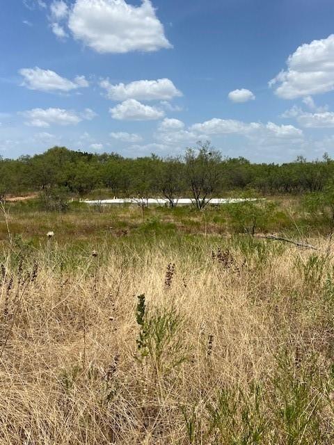 Gorman, Comanche County, TX Undeveloped Land for sale Property ID: 417153143
