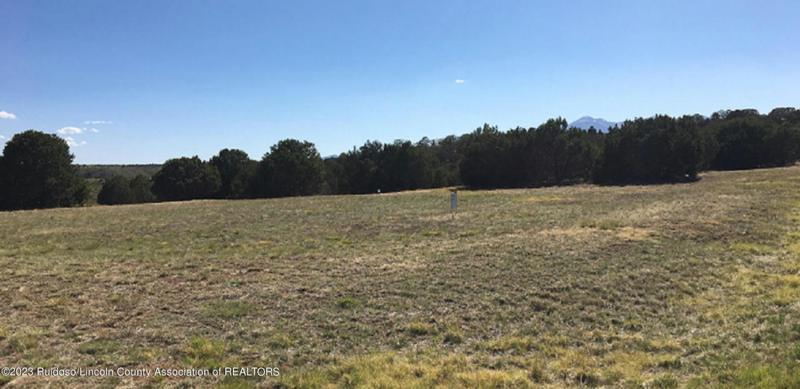 LOT3 BLK9 TIWA COURT, Alto, NM 88312 Land For Sale  MLS# 129586