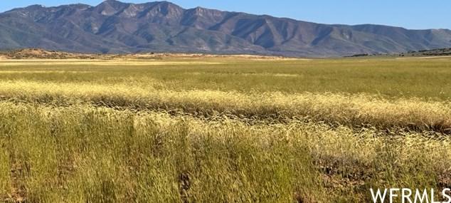 [Address not provided], Holden, UT 84636 - MLS 1894497 for Sale