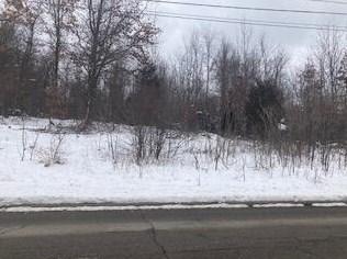 /2 Mile Rd, Battle Creek, MI 49014 - MLS 22002949 for Sale