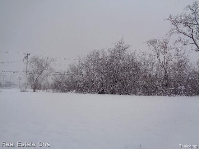 Detroit, Wayne County, MI Undeveloped Land, Homesites for sale Property ID: 415737238