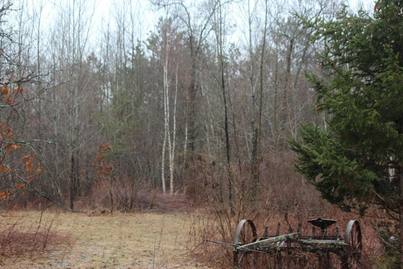 14640 580TH ST, Pine City, MN 55063 Land For Sale  MLS# 6358679